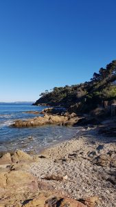 plage la Favière